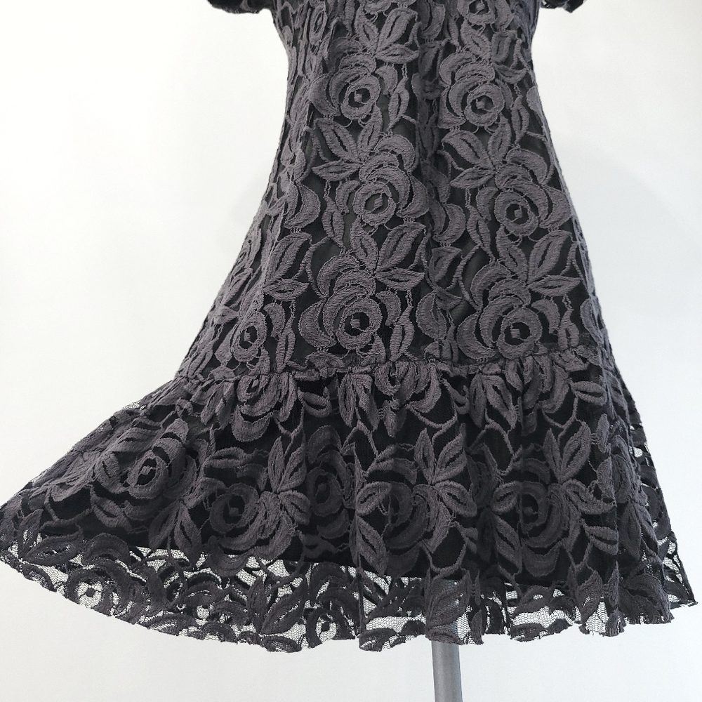 RARE Anna Sui Dark Floral Grey Lace Wild Roses Witchycore Babydoll Dress - Picture 6 of 15